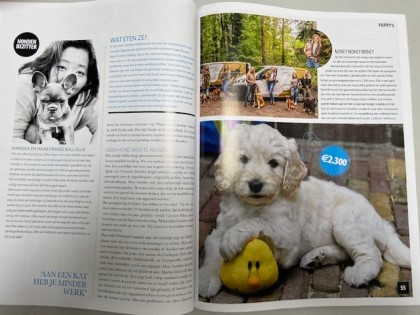 In de media