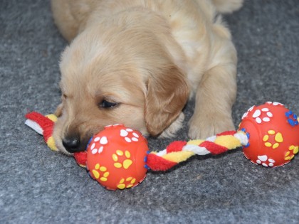 Doris had pups!