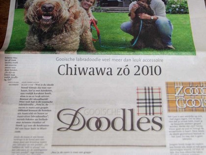 In de media