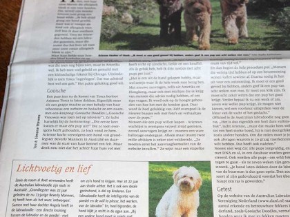 In de media