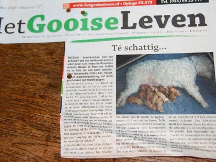 In de media