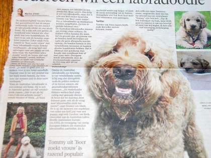 In de media