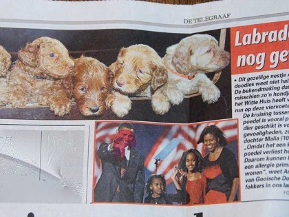 In de media