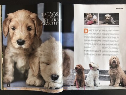 In de media