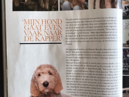 In de media
