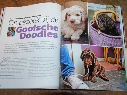 In de media