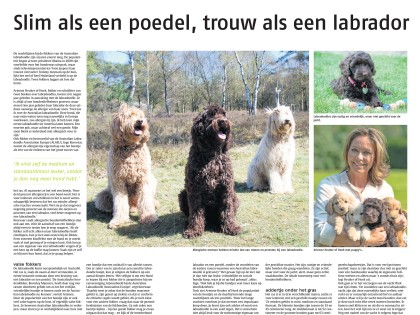 In de media