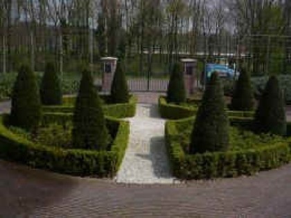 Snoeien van de planten en bomen in uw tuin