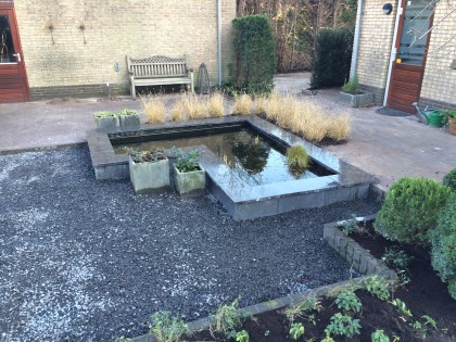 Creëer beleving in de tuin met een vijver