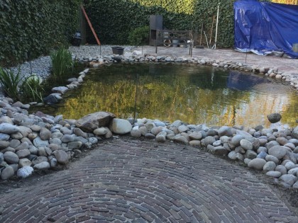 Creëer beleving in de tuin met een vijver