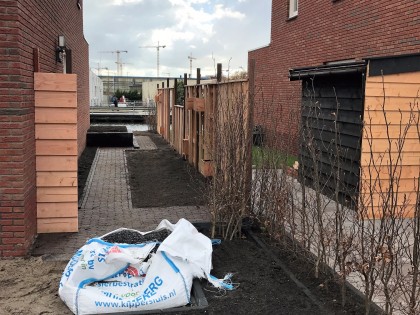 Bamboe vlonder aan het water in Diemen