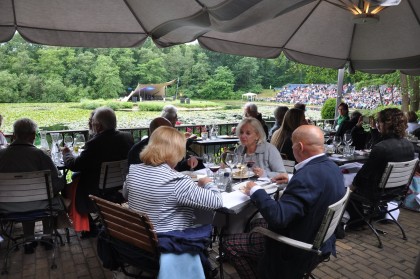 zomerconcert vanaf terras Rust Wat