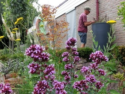 Engweg Hoogland: klimaat- en vlindervriendelijke voortuin met wadi