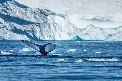 Antarctica is een van de landen in Gouden Nevel