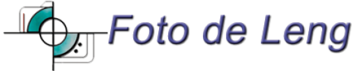 Logo Foto de Leng, home