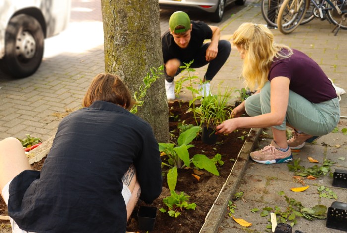 Volwassenen die boomperken vergroenen.