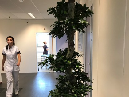 PPI Hoorn parodontologie impressie tandarts