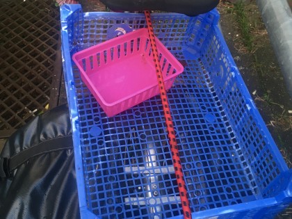 Carolien Adriaansche blauw plastic afval op de fiets 4