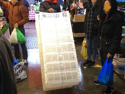 Carolien Adriaansche plastic kratten transport