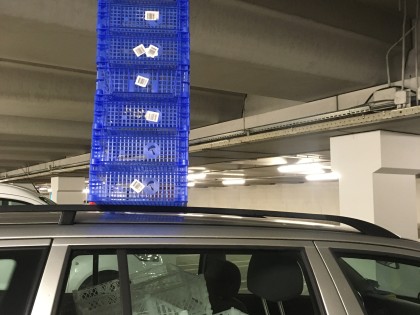 Carolien Adriaansche plastic kratten transport