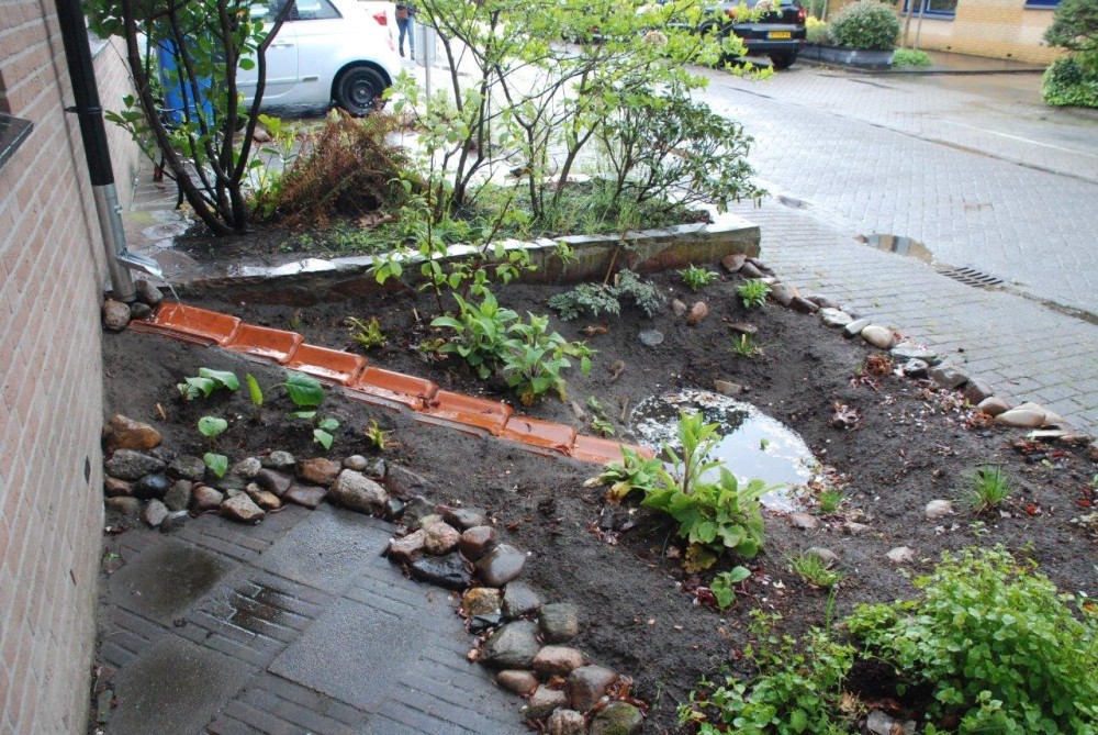 Voortuin met wadi