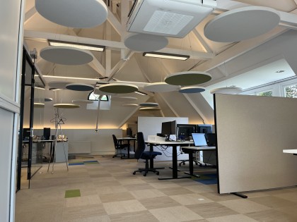 plafond panelen