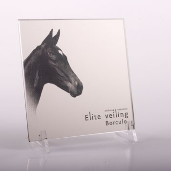 Veilenveiling