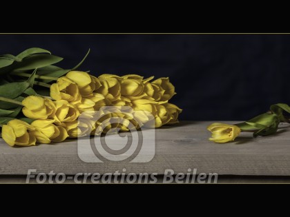 Nog 4 exemplaren beschikbaar (4 van 5)