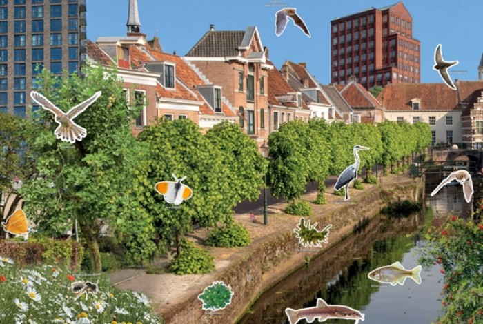 compilage van Amersfoortse dieren in stedelijk gebied
