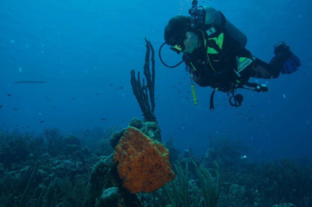 Bonaire