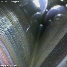 Bearing inspection