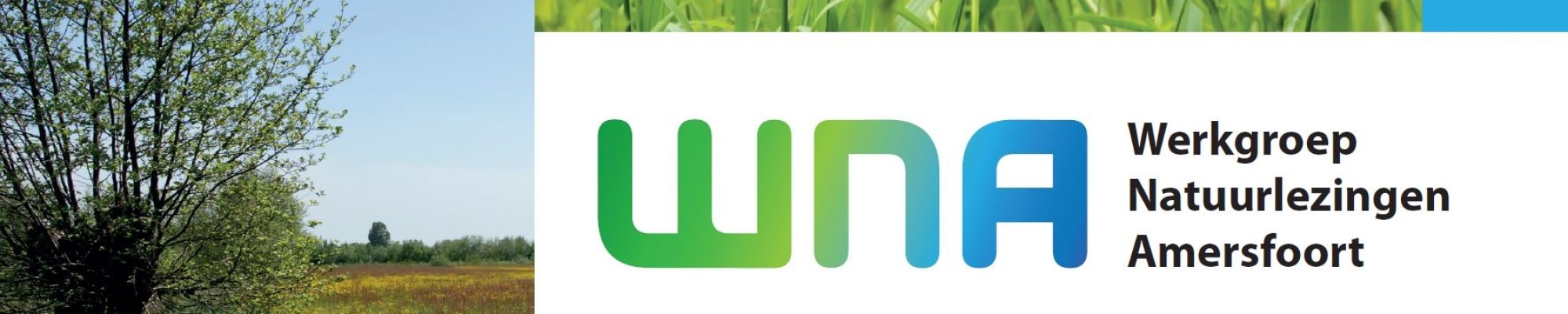 Banner WNA