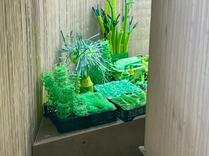 C. Adriaansche - oneindig GROEN – gerecycled plastic fruitkratten