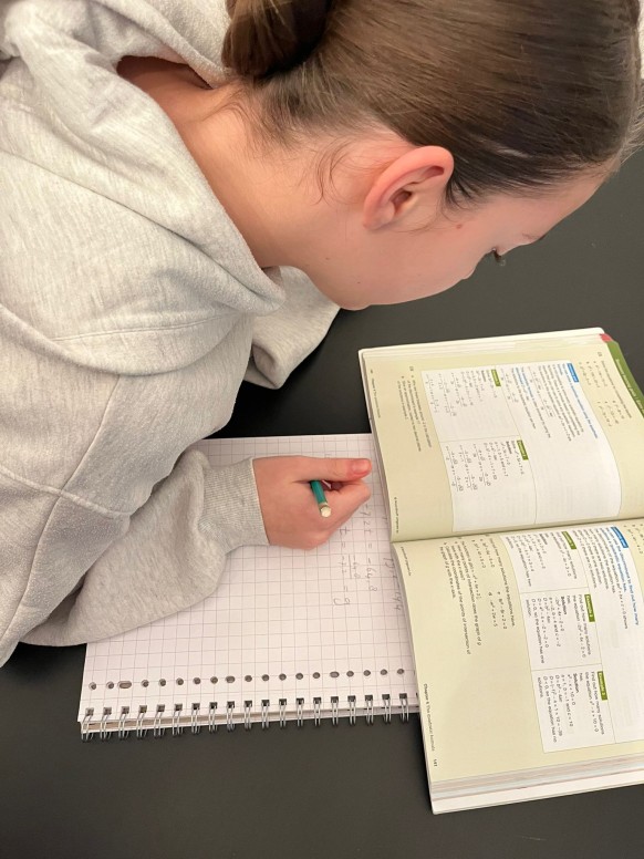 huiswerkbegeleiding Laren