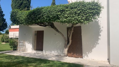 Casa Negra (38)