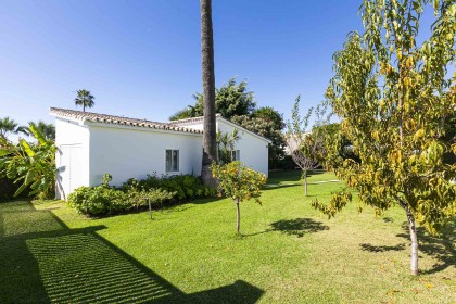 Call Teide - before (32)