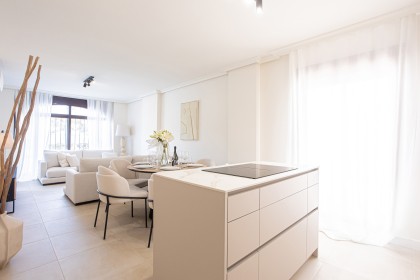 Apartemento La maestranza (49)