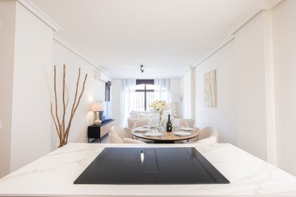 Apartemento La maestranza (51)