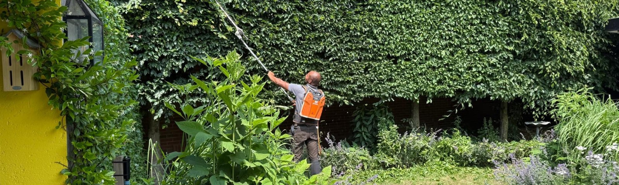 Snoeiwerkzaamheden tuin
