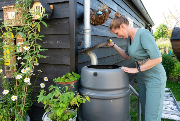 waterdruppels op jonge groene blaadjes in de tuin