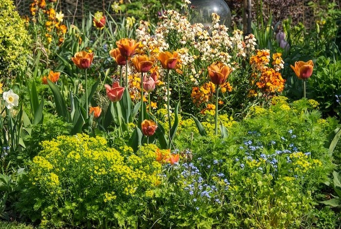 Zonnige border met bloeiende planten