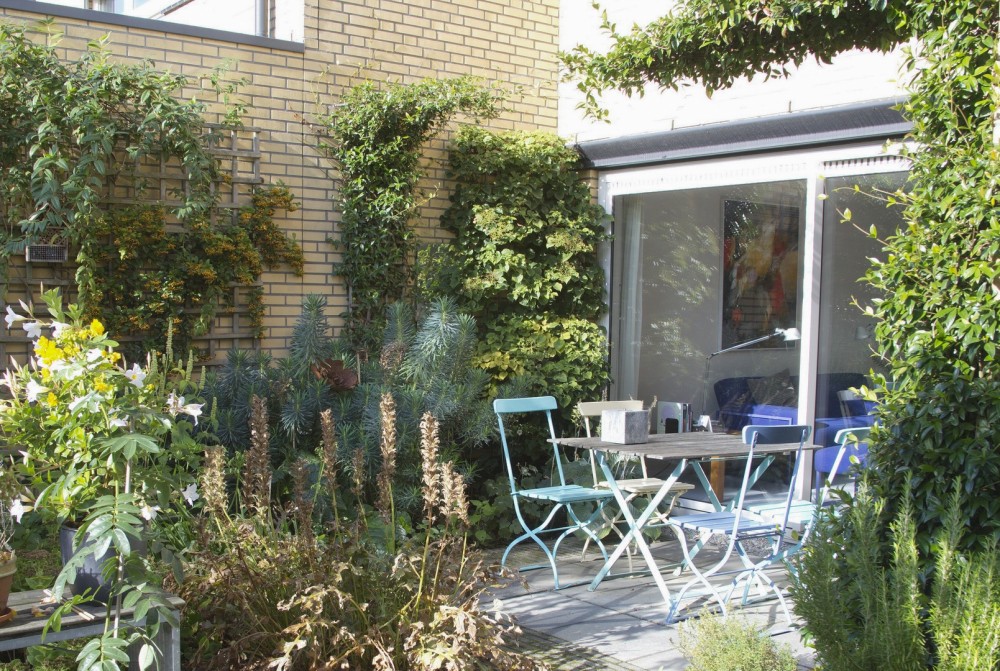 Een tuin vol klimplanten