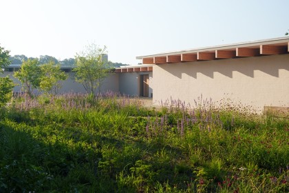 Bloemrijke tuin Tilburg