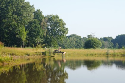 Bloemrijke tuin Tilburg