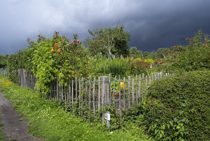 Flinke buien boven de moestuin