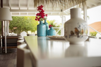 Terras