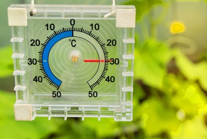 Flinke buien boven de moestuin