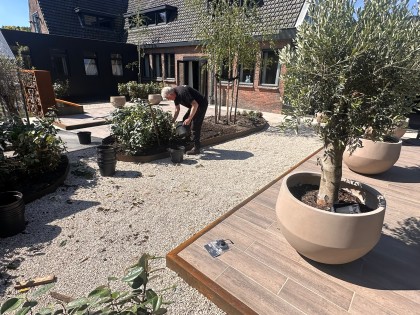 Ceintuurbaan planten 4