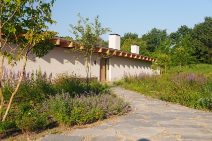 Bloemrijke tuin Tilburg