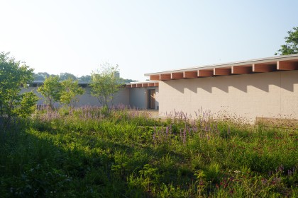 Bloemrijke tuin Tilburg